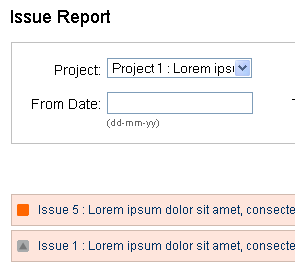 screenshot of issue report page