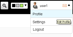 screenshot of users profile