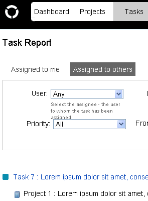 screenshot of task report page