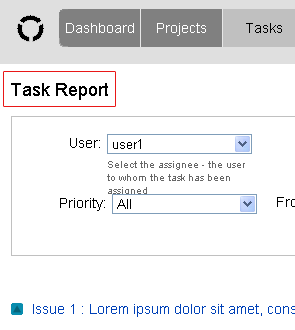 screenshot of task report page